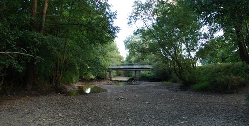 43300303_m.jpg