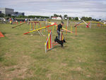 ULYSSE en Agility 70756662_p