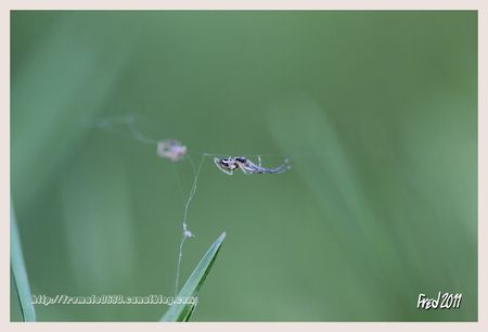 IMG_4694_sign_e