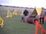 ERA en Agility 70751699_p