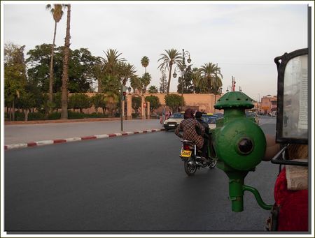 marrakech__461_