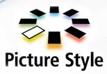 Picture_style