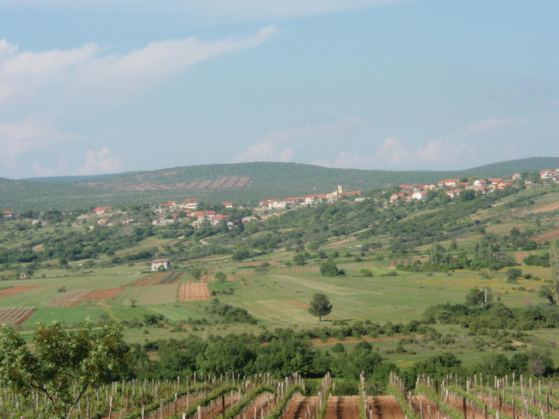 slike Vuksica - Benkovacko guvno