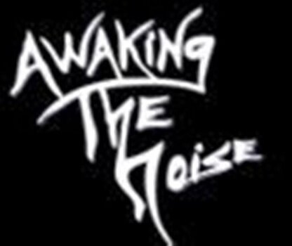 AWAKiNG THE NOiSE