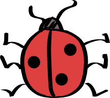 ladybug