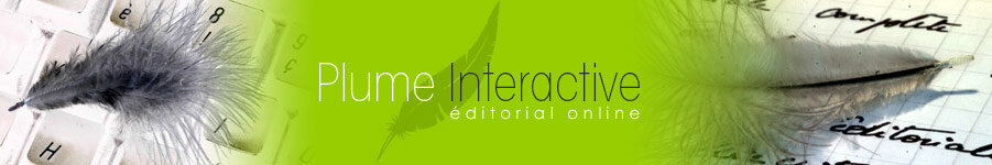 Plume Interactive : écriture web et ergonomie éditoriale par Eve Demange