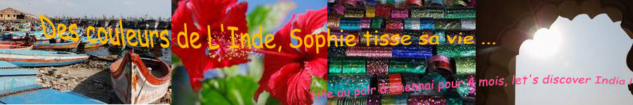 Des couleurs de l'Inde, Sophie tisse sa vie
