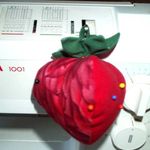 fraise12JPG