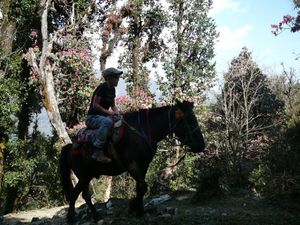 Trek Annapurna FZ1 - 0464