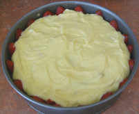 fraisier12effet_1_