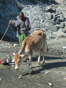 Trek Annapurna FZ1 - 0452