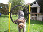 ERA en Agility 70773522_p