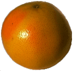 g_pamplemousse