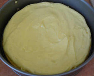 fraisier9effet_1_