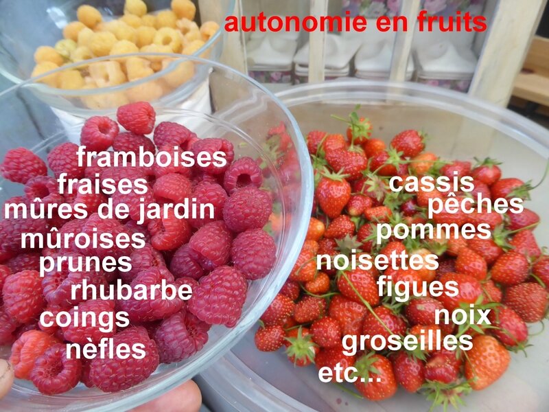 autonomie fruits