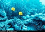 K06_188637