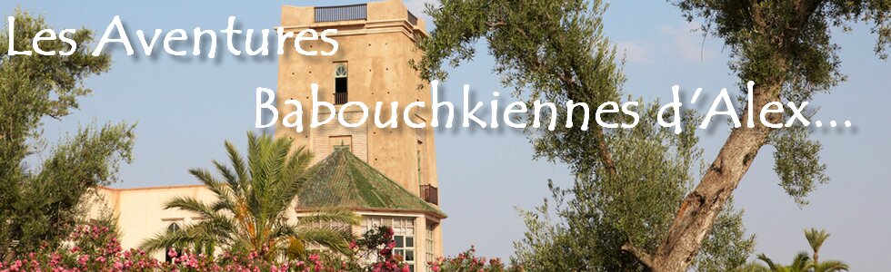 Les aventures babouchkiennes d'Alex à Marrakech