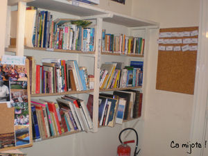 P2050010a