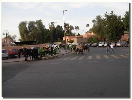 marrakech__457_