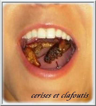 Copie_de_laurainsect