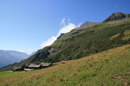 IMG_1555