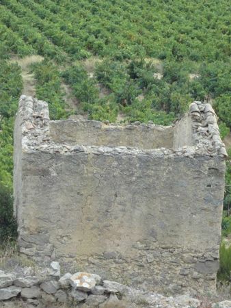 DSC03280