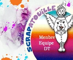 lOGO EQUIPE dt