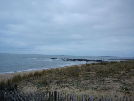 DSC00592