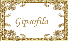 ALICE MENDES ASSINATURA