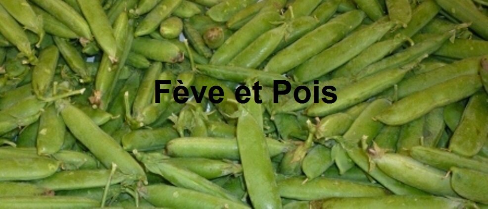 Fève et Pois