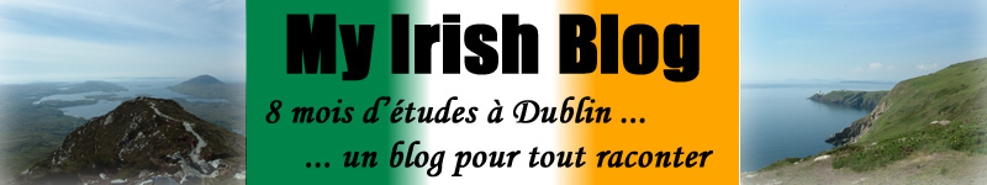 My Irish blog