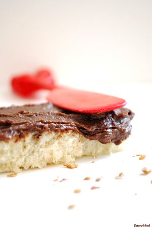 Nutellanovores : vous serez confondus! Nutellanovores : vous serez confondus!