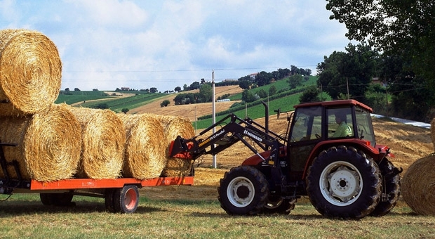 Agriculture 2017
