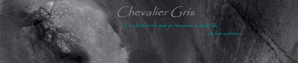 Chevalier gris