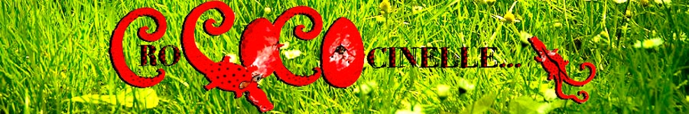 Crocococinelle
