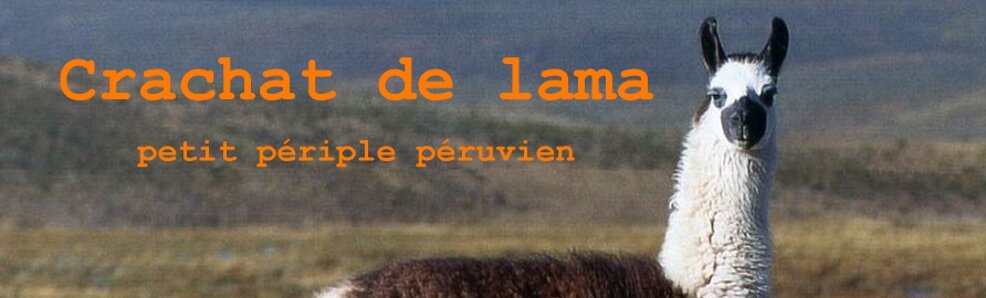 Crachat de lama