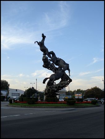 DSC02153
