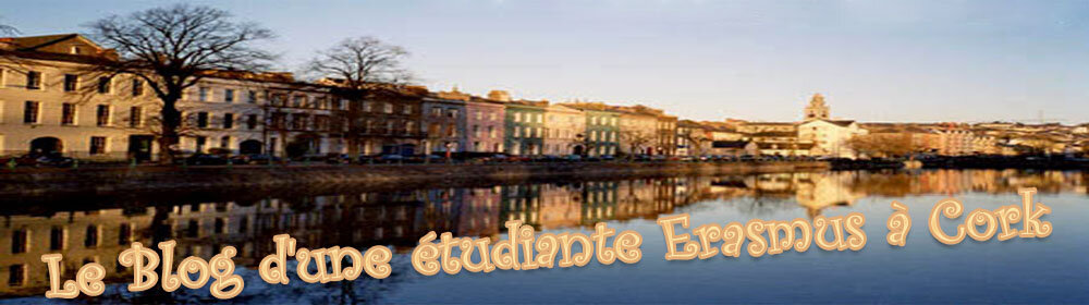 Le Blog d'une Etudiante Erasmus à Cork