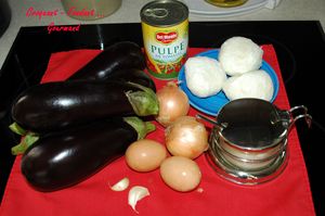 Parmesane_d_aubergines___DSC_6539_4375