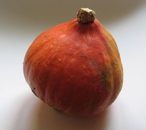 STA_6547