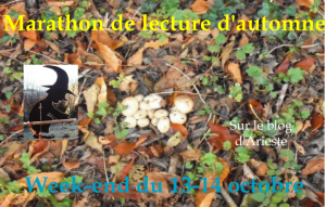 sans-titre