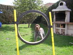 ERA en Agility 70773513_p