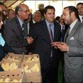 صاحب الجلالة محمد السادس ملك المغرب