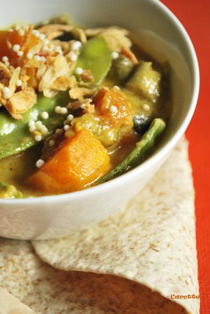 Curry de légumes en faveur du réchauffement planétaire! Curry de légumes en faveur du réchauffement planétaire!