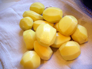 DSCN0445