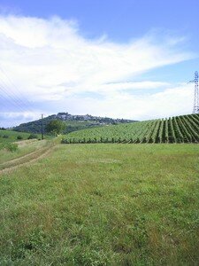 Sancerre_4_juillet_07