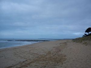 DSC00598