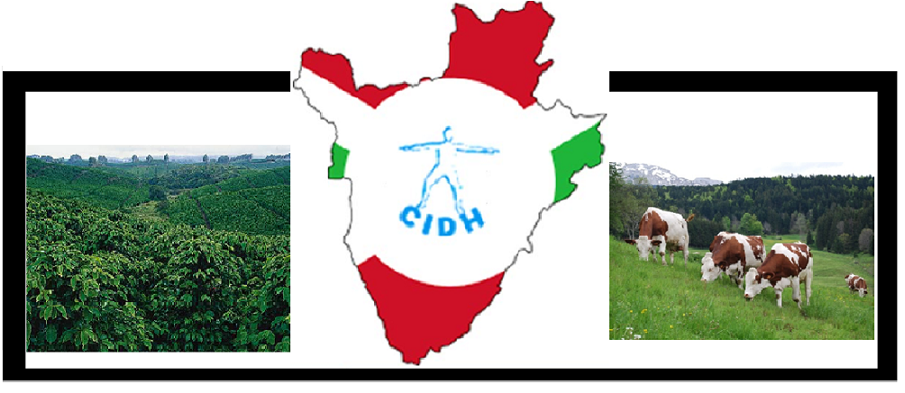 CIDH-Burundi Développement