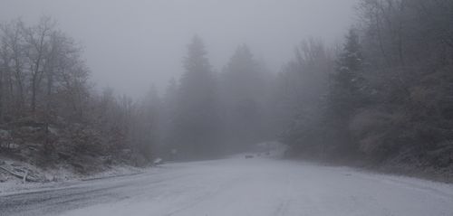 62072033_m.jpeg