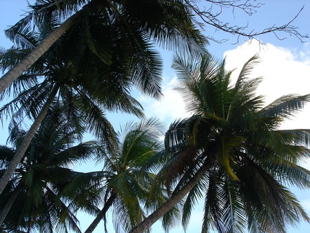 DSC03275